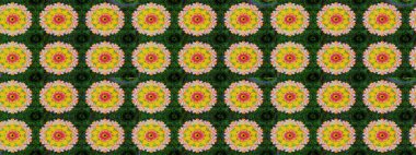 Robot resim. Raster illüstrasyonu. Küçük çiçekte sevimli çiçek deseni var..