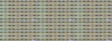 Manzaralı çiçek deseni. Çiçek kompozisyonu, el boyası, hassas şablon. Sevgililer günü ve tebrik kartı konsepti için şık bir davetiye. Üst görünüm, yumuşak nötr renk biçimi.