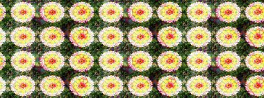 Suluboya desenli çiçek deseni. Çiçeğin suluboya çizimlerinin mükemmel deseni. Moda baskısı. Ton halinde. Dekorasyon ve tasarım için güzel desen.