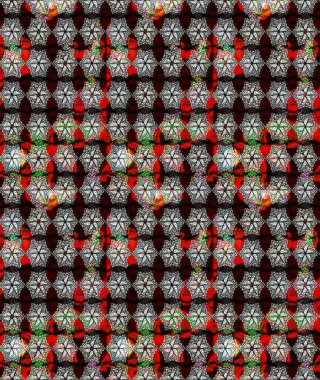 Egzotik çiçekler, botanik olarak parlak, klasik siyah renkler. Raster illüstrasyonu. Klasik tropikal doğal elementlerin suluboya seti.