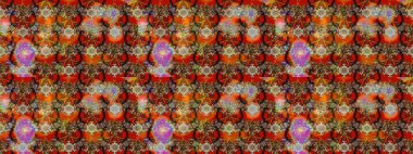 Raster şirin suluboya çiçek desenleri çiziyor. Büyük bir çiçek boyası seti. Kartlar, davetiyeler, tarih kartları ve daha fazlası için kullanılabilir.