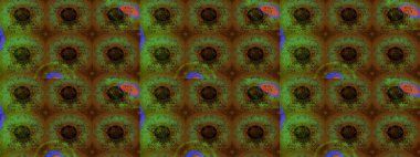 Süslü zentangle çizim dokusu, soyut çiçeklerle süslenmiş. Çiçek deseni duvar kağıdı, desen dolguları ve web sayfası arka planı için kullanılabilir. Şekillendirilmiş çiçekli çizim deseni.