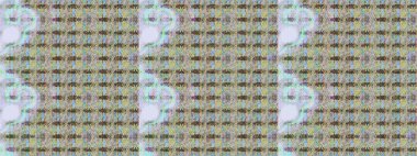 Raster illüstrasyonu. Tarafsız renklerde yaz çiçekleri. Raster deseni. Küçük çiçekte sevimli çiçek deseni var..