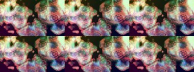 Tarafsız renklerde çiçekler. Raster illüstrasyonu. Çiçek desenli eskiz, vuruşlar, sıçramalar, yaz çiçekleri..