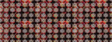 Eskiz tarzı siyah renkler. Raster illüstrasyonu. Şirin karalamalı çiçek desenli çizim. El yapımı çiçek ve bitki koleksiyonu. Raster illüstrasyonu.