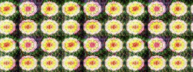 Tekstil, tebrik kartı, boyama kitabı, telefon kılıfı baskısı için kullanılabilir. Raster Henna dövme stili. Kızılderili desenli desenli desenli şal deseni. Etnik Mandala süsü.