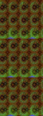 Çiçekli karalama şeklinde Raster çiçek deseni. Raster illüstrasyonu. Nazikçe, yaz çiçekleri kahverengi renklerde.