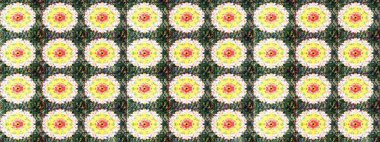 Hediye ambalaj kağıdı, tebrik kartları, posterler ve pankart tasarımı. Raster düz çiçek çizim deseni. Yeşil renkte çiçekler.