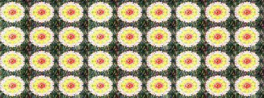 Hediye ambalaj kağıdı, tebrik kartları, posterler ve pankart tasarımı. Raster düz çiçek çizim deseni. Yeşil renkte çiçekler.