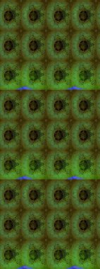 Hediye ambalaj kağıdı, tebrik kartları, posterler ve pankart tasarımı. Raster düz çiçek çizim deseni. Yeşil renkte çiçekler.