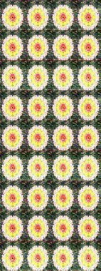 Hediye ambalaj kağıdı, tebrik kartları, posterler ve pankart tasarımı. Raster düz çiçek çizim deseni. Yeşil renkte çiçekler.