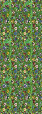 Kızılderili desenli desenli desenli şal deseni. Etnik Mandala süsü. Raster Henna dövme stili. Tekstil, tebrik kartı, boyama kitabı, telefon kılıfı baskısı için kullanılabilir.