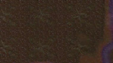 Renkli unsurlarla hareketli arka plan görüntüleri. Çiçekler. Eski model. Bayrak tarzı. Video kaydı. Şablon. Döngü. Kusursuz.. 