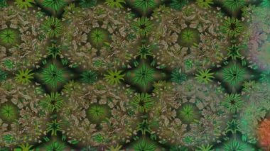 Renkli unsurlarla hareketli arka plan görüntüleri. Çiçekler. Eski model. Bayrak tarzı. Video kaydı. Şablon. Döngü. Kusursuz.. 