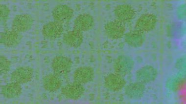 Renkli unsurlarla hareketli arka plan görüntüleri. Çiçekler. Eski model. Bayrak tarzı. Video kaydı. Şablon. Döngü. Kusursuz.. 