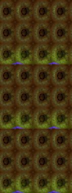 Çiçek desenli eskiz. Gömlek baskısı için çiçek boyası. Kahverengi renkte çiçekler.