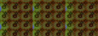 Sabıka fotoğraflarında, bebek kıyafetlerinde, duvar kâğıtlarında, paket kutularında falan kullanılabilir. Zarif, parlak ve eskiz kahverengi çiçek deseni tasarımı.