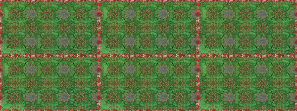 Şirin çiçek elementleri. Yeşil ve kahverengi renkli çiçekler. Kusursuz. Raster illüstrasyonu.