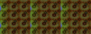 Raster illüstrasyonundaki çiçek desenli çizim. Kahverengi renkte çiçekler.