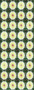 Renkli Yaz Temalı eskiz kalıbı. Yeşil ve nötr renklerde çiçekler. Düz Çiçek Elementleri Tasarımı. Raster illüstrasyonunda çiçek deseni çizimi.