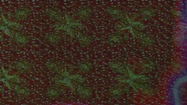 Renkli unsurlarla hareketli arka plan görüntüleri. Çiçekler. Eski model. Bayrak tarzı. Video kaydı. Şablon. Döngü. Kusursuz.. 