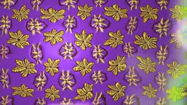 Renkli unsurlarla hareketli arka plan görüntüleri. Çiçekler. Eski model. Bayrak tarzı. Video kaydı. Şablon. Döngü. Kusursuz.. 