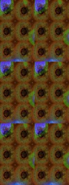 Bahar mevsimi. Nazik romantik baskı. Tatil havası. Raster güzel bir çiçek deseni çiziyor..