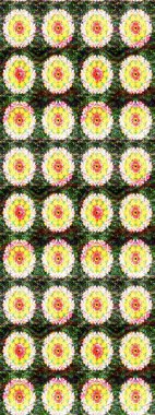 Raster illüstrasyonu. Organik motif arka planı. Ultraviyole kumaş deseni. Çizim deseni.