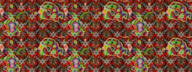 Çiçek desenli eskiz. Kırmızı renkte çiçekler. Tişört baskısı için çiçek boyama rasteriName.