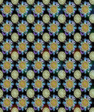 Siyah ve nötr renklerde çiçekler. Elle boyanmış suluboya, kusursuz çiçekler ve bitkiler..