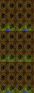 Çizim kalıbı. Kahverengi renklerde. Çiçek duvar kağıdı. Raster illüstrasyonu. Hint süsü. Renkli süs kenarı.