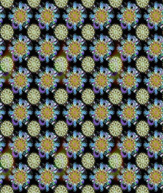 Küçük çiçekteki sevimli çiçek deseni. Raster deseni. Nazik, yaz çiçekleri siyah renklerde. Raster illüstrasyonu.