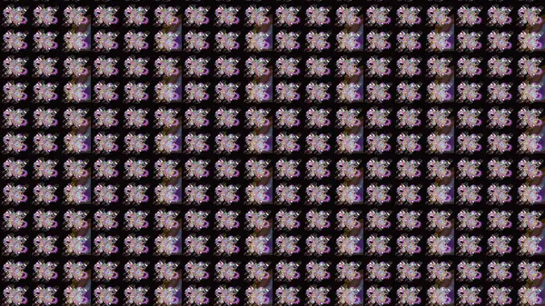 Raster illüstrasyonu. Kusursuz bir geçmişi var. Eski usul. Tomurcukları papatya çiçekleri olan sevimli bir çiçek deseni. Kumaş, tekstil, duvar kağıdı baskısı için. Miles Fleur, dandik süs.