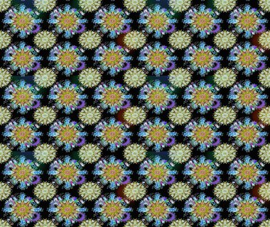 Siyah ve nötr renklerde çiçekler. Elle boyanmış suluboya resim çizimi çiçekler ve bitkiler.