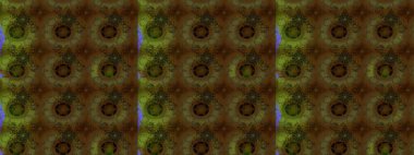 Raster deseni. Bahar çiçekleriyle desen dalla, kahverengi renklerle çiçek siluetiyle.