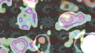 Renkli unsurlarla hareketli arka plan görüntüleri. Çiçekler. Eski model. Bayrak tarzı. Video kaydı. Şablon. Döngü. Kusursuz.. 