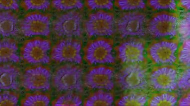 Renkli unsurlarla hareketli arka plan görüntüleri. Çiçekler. Eski model. Bayrak tarzı. Video kaydı. Şablon. Döngü. Kusursuz.. 