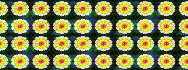 Çiçek desenli eskiz, yaz çiçekleri. Renkli Bahar Teması eskiz kalıbı. Düz Çiçek Elementleri Tasarımı. Sarı ve yeşil renkte çiçekler.