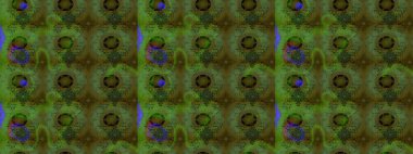 Renkli Bahar Teması eskiz kalıbı. Düz Çiçek Elementleri Tasarımı. Yeşil renkli çiçekler. Çiçek desenli eskiz, yaz çiçekleri..