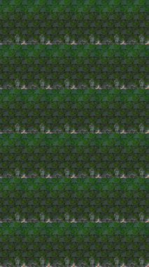 Yeşil ve gri renkli çiçekler. Raster illüstrasyonu. Tropikal çizim çiçek deseni.