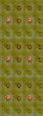 Kabile sanatı boho baskısı, klasik çiçek arkaplanı. Arkaplan dokusu, duvar kağıdı, kahverengi renkli çiçek teması. Soyut etnik raster çizim kalıbı.