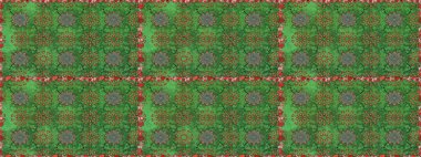 Zarif, parlak ve pürüzsüz yeşil ve kahverengi çiçek desenli tasarım. Raster. Sabıka baskıları, bebek kıyafetleri, duvar kâğıtları, paket kutuları vb..