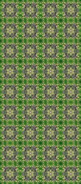 El yapımı dekoratif çerçeve, albüm kapağı, tebrik kartı, klasik Art deco tarzı. Altın karalama fantezi yapraklarından Raster soyut çiçek çelengi ve yeşil, gri ve bej renkli bir çiçek.