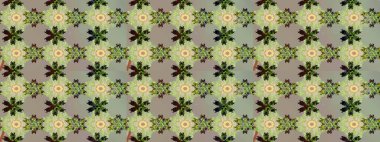 Çiçek desenli çizim. Tarafsız ve gri renklerde Asya tekstil tarzında. Raster illüstrasyonu.