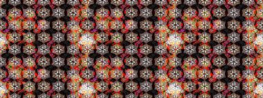 Raster illüstrasyonu. Çiçek desenli eskiz, darbeler, sıçramalar, yaz çiçekleri. Siyah renkte çiçekler.