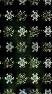 Siyah renkte manzaralı çiçek deseni. Çiçek kompozisyonu, el boyası, hassas şablon. Üst manzara, yumuşak stil. Sevgililer günü ve tebrik kartı konsepti için şık bir davet.