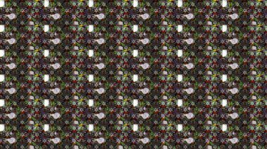 Gri renkli çiçekler. Nazik, narin çiçek arkaplanı. Raster çiçek desenli ve çiçekli..