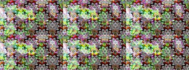 Renkli Bahar Teması eskiz kalıbı. Güzel çiçek deseni. Gri renkli çiçekler. Düz Çiçek Elementleri Tasarımı.