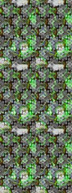 Küçük çiçekte güzel bir desen var. Çiçek arkaplan. Çiçek kolajı. - Gri çiçekler. Raster deseni. Doğa. Çiçek bileşimi.