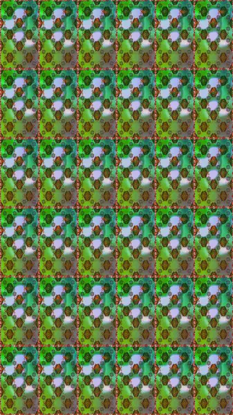 Etnik Mandala süsü. Raster Henna dövme stili. Tekstil, tebrik kartı, boyama kitabı, telefon kılıfı baskısı için kullanılabilir. Hint çiçekli desenli şal desenli..